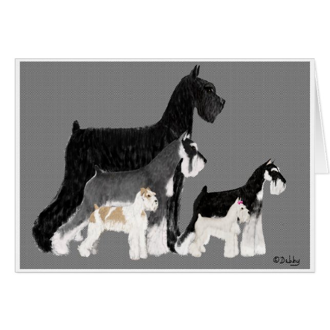 Iedereen anders (Voorkant Horizontaal)