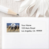 Iedereen heeft een droom nodig etiket (Insitu)