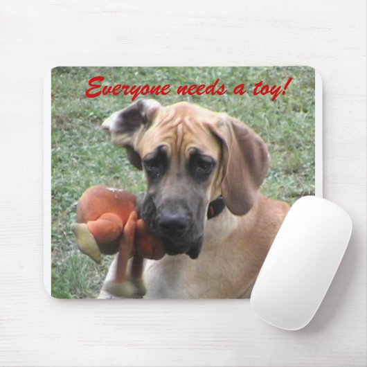 Iedereen heeft een speelgoed nodig! muismat (Met muis)