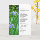 Iedereen heeft iemand nodig: vriendschap kaart (Gele Bloem)