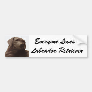 Iedereen houdt van een Labrador Retriever Bumpersticker