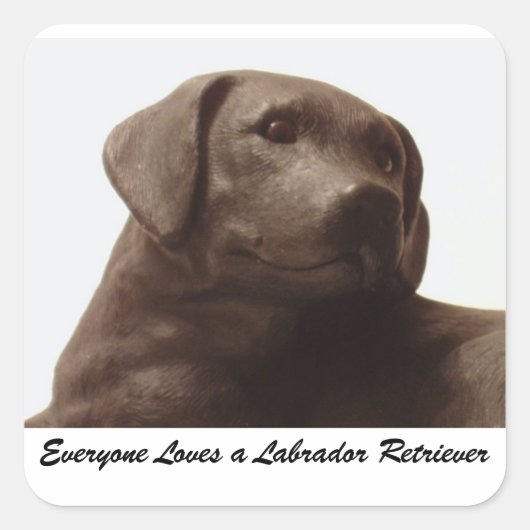 Iedereen houdt van een Labrador Retriever Vierkante Sticker (Voorkant)