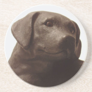 Iedereen houdt van een Labrador Retriever Zandsteen Onderzetter