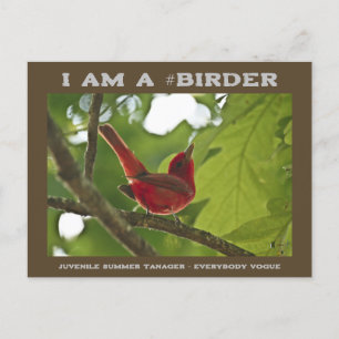 Iedereen Vogue Juvenile Summer Tanager Birder Briefkaart