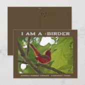 Iedereen Vogue Juvenile Summer Tanager Birder Briefkaart (Voorkant / Achterkant)