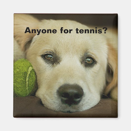 Iedereen voor tennis, golden retriever. magneet (Voorkant)