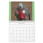 IedereenBirdie 2024 Kalender (Mar 2027)