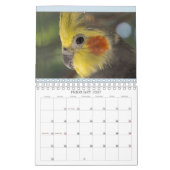 IedereenBirdie 2024 Kalender (Feb 2027)