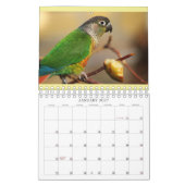 IedereenBirdie 2024 Kalender (Jan 2027)