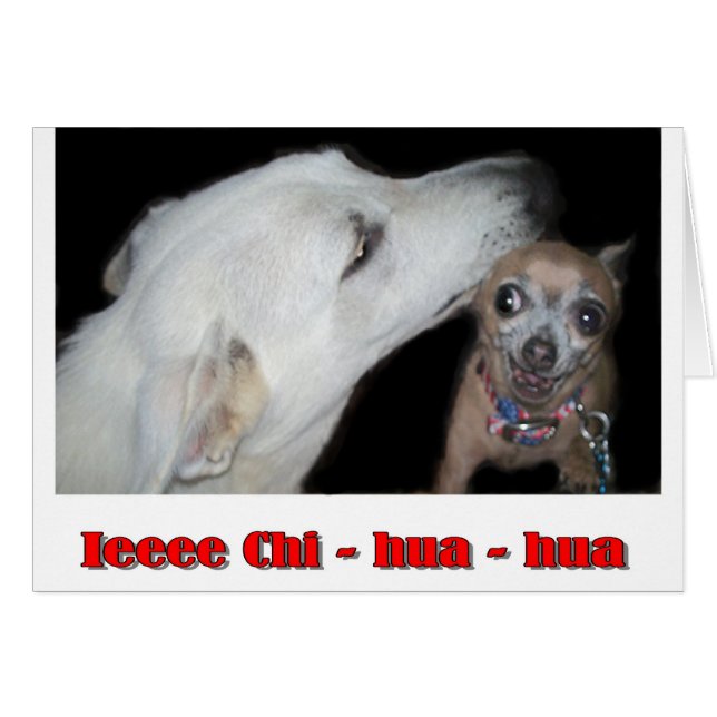 Ieee Chi hua hua (Voorkant Horizontaal)