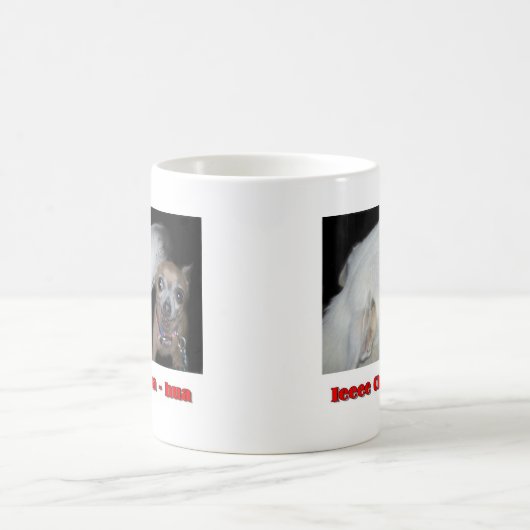 Ieee Chi hua hua Koffiemok (Center)