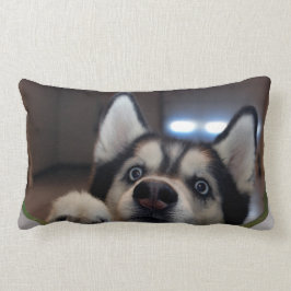 Iemand daarbuiten? kussen