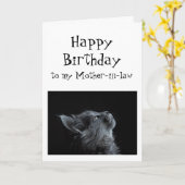 Iemand die ik opkijk tegen de Verjaardagskat van m Kaart (Gele Bloem)