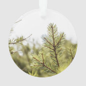 Iemand in onze HeartsAcrylversiering Ornament (achterkant)