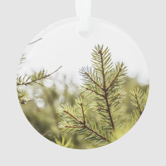 Iemand in onze HeartsAcrylversiering Ornament (achterkant)