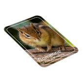 Iemand kijkt naar Chipmunk Magneet (Rechterzijde)
