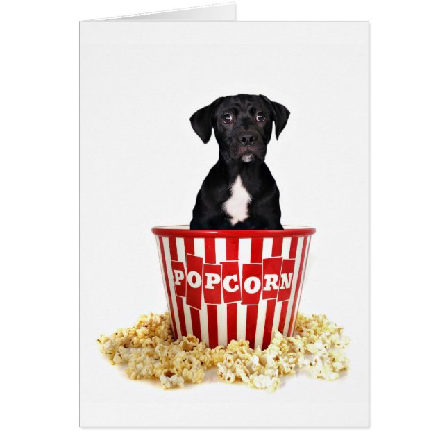 Iemand pup-Corn? (Voorkant)