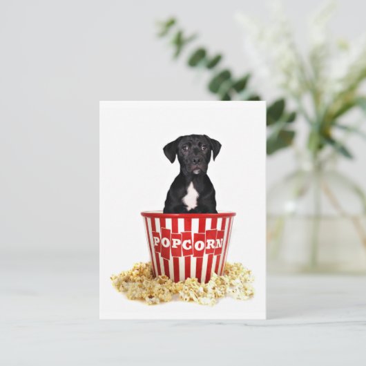 Iemand pup-Corn? Briefkaart (Staand voorkant)