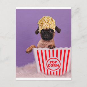 Iemand pupcorn? briefkaart