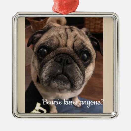 Iemand van Beanie kissea? Metalen Ornament (Voorkant)