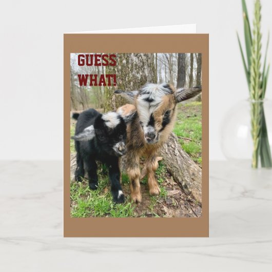 IEMAND "ZEER SPECIAAL" HEEFT EEN **BIRTHDAAG** KAART (Voorkant)