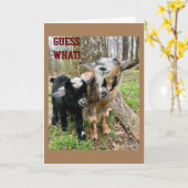 IEMAND "ZEER SPECIAAL" HEEFT EEN **BIRTHDAAG** KAART (Gele Bloem)