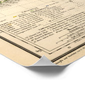 Ierland 15 poster (Hoek)