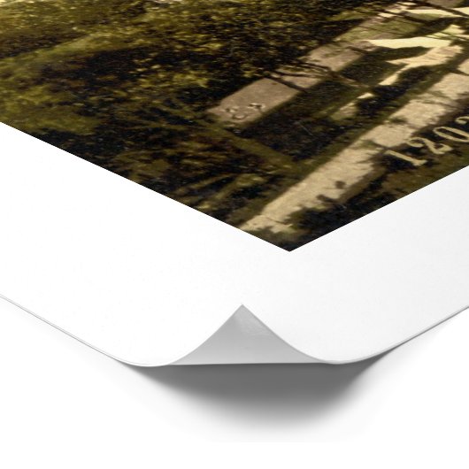  Ierland, 19e eeuw Glendalough Wicklow Poster (Hoek)