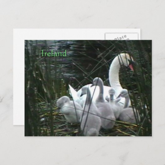 Ierland Briefkaart (Voorkant / Achterkant)