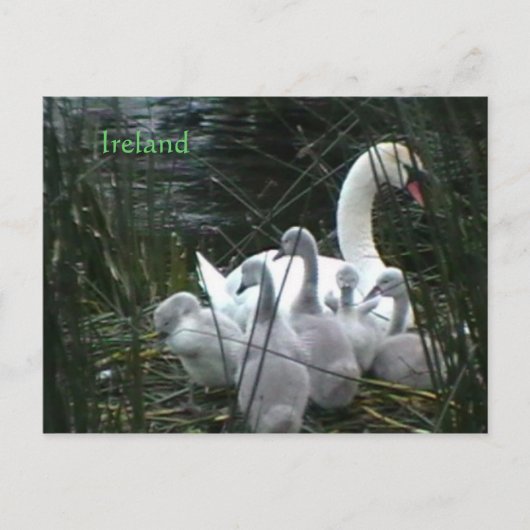Ierland Briefkaart (Voorkant)