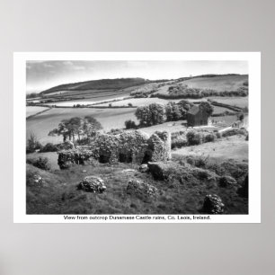 Ierland - Co. Laois, Dunamase Castle Poster