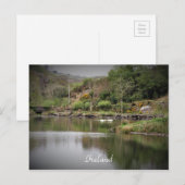 Ierland, County Cork, Lake, Swans, Photography Briefkaart (Voorkant / Achterkant)