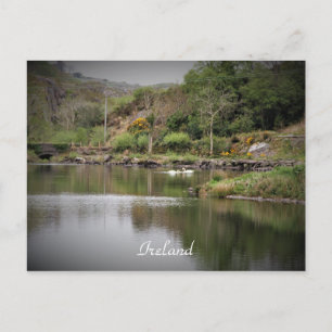 Ierland, County Cork, Lake, Swans, Photography Briefkaart