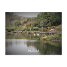 Ierland, County Cork, Lake, Swans, Photography
