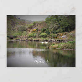 Ierland, County Cork, Lake, Swans, Photography Briefkaart