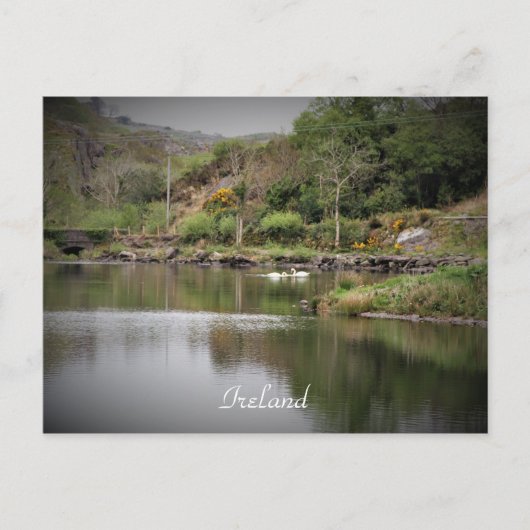 Ierland, County Cork, Lake, Swans, Photography Briefkaart (Voorkant)