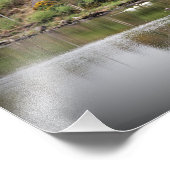 Ierland, County Cork, Lake, Swans, Photography Foto Afdruk (Hoek)