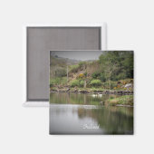 Ierland, County Cork, Lake, Swans, Photography Magneet (Voorkant / Achterkant)