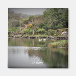 Ierland, County Cork, Lake, Swans, Photography Magneet