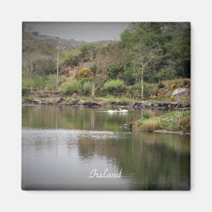 Ierland, County Cork, Lake, Swans, Photography Magneet