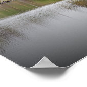 Ierland, County Cork, Lake, Swans, Photography Poster (Hoek)