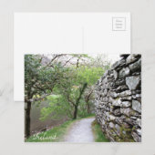 Ierland, County Cork, Stone Wall, fotografie, Briefkaart (Voorkant / Achterkant)