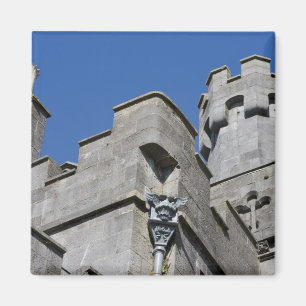 Ierland, County Kilkenny, middeleeuws kasteel. Magneet