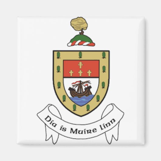 Ierland County Mayo Magneet (Voorkant)
