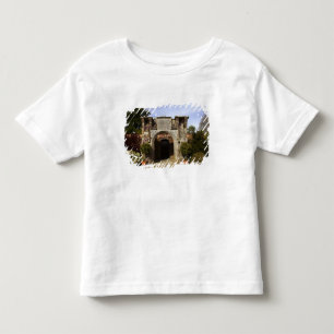 Ierland, de dromoland Castle Wde Garden Kinder Shirts