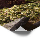 Ierland, de dromoland Castle Wde Garden Poster (Hoek)