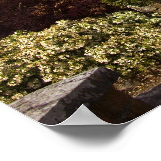 Ierland, de dromoland Castle Wde Garden Poster (Hoek)