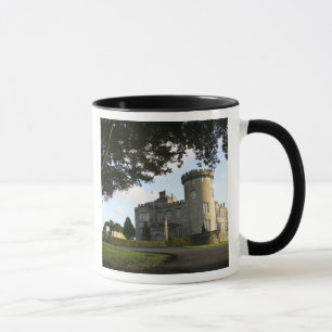Ierland, de zij-ingang van Dromoland Castle. Mok