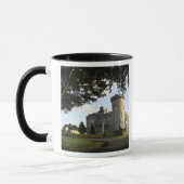 Ierland, de zij-ingang van Dromoland Castle. Mok (Links)