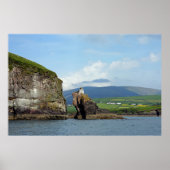 Ierland, Dingle Bay Poster (Voorkant)